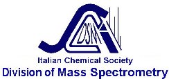 Logo DSM