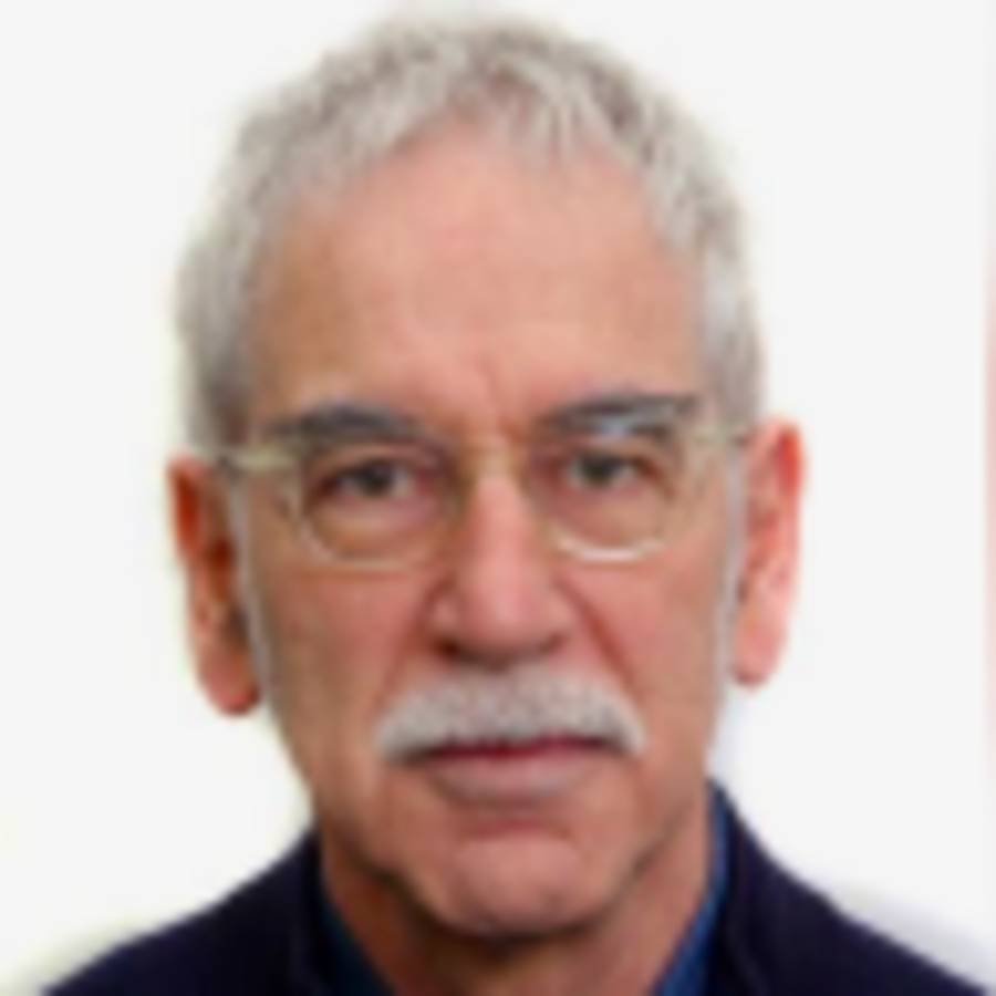 foto profilo vice presidente